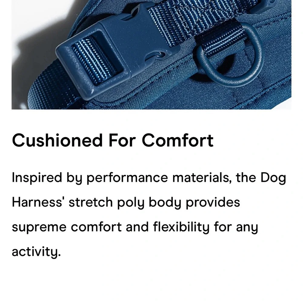 Wild One Dog Harness - Blaze - Size: XS